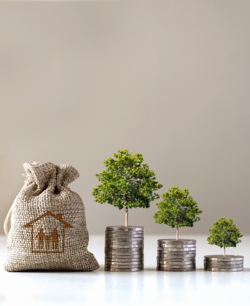 MTIA-i Card Trees Growing on stacks of coin